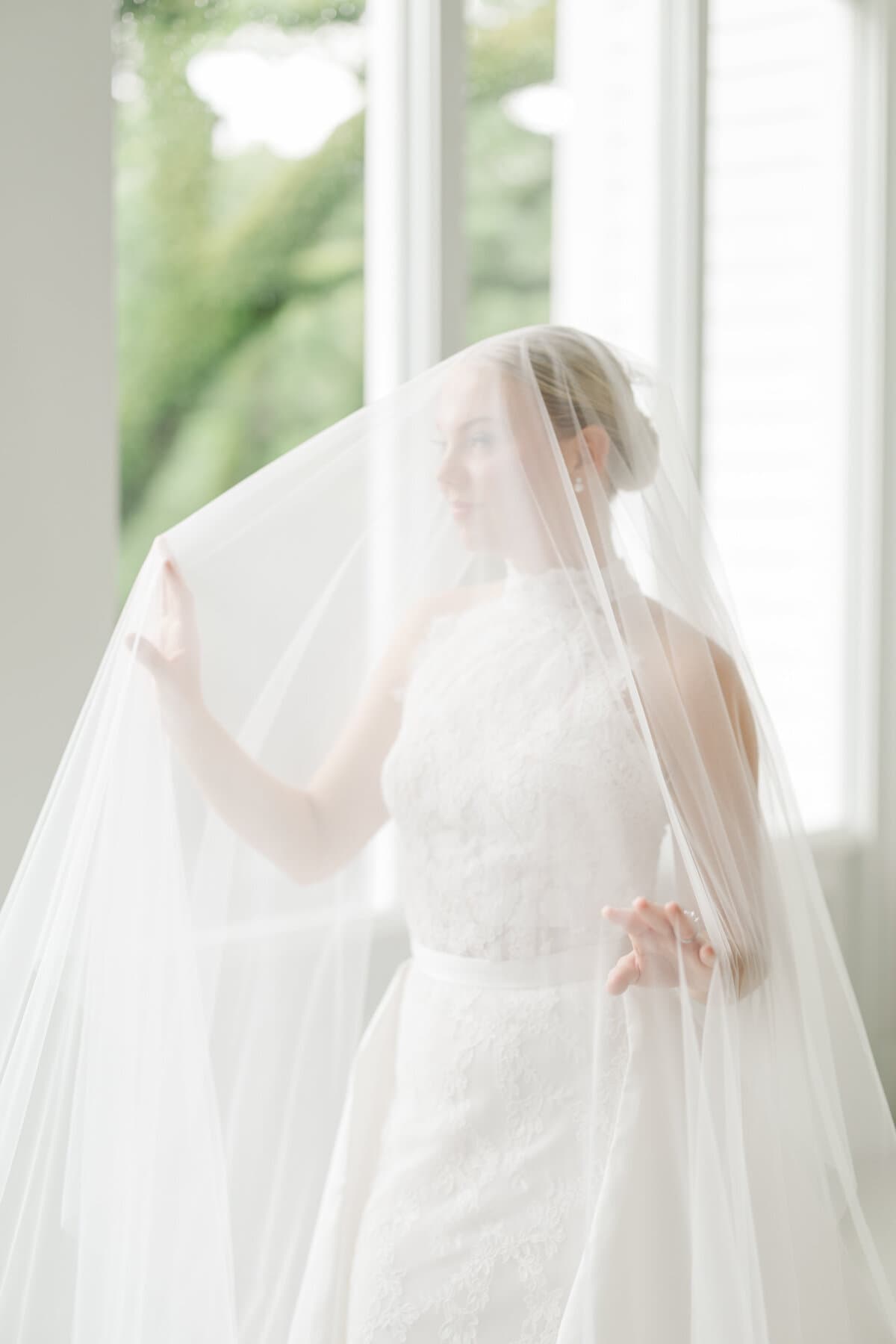 Soft bridal portrait framed by a veil