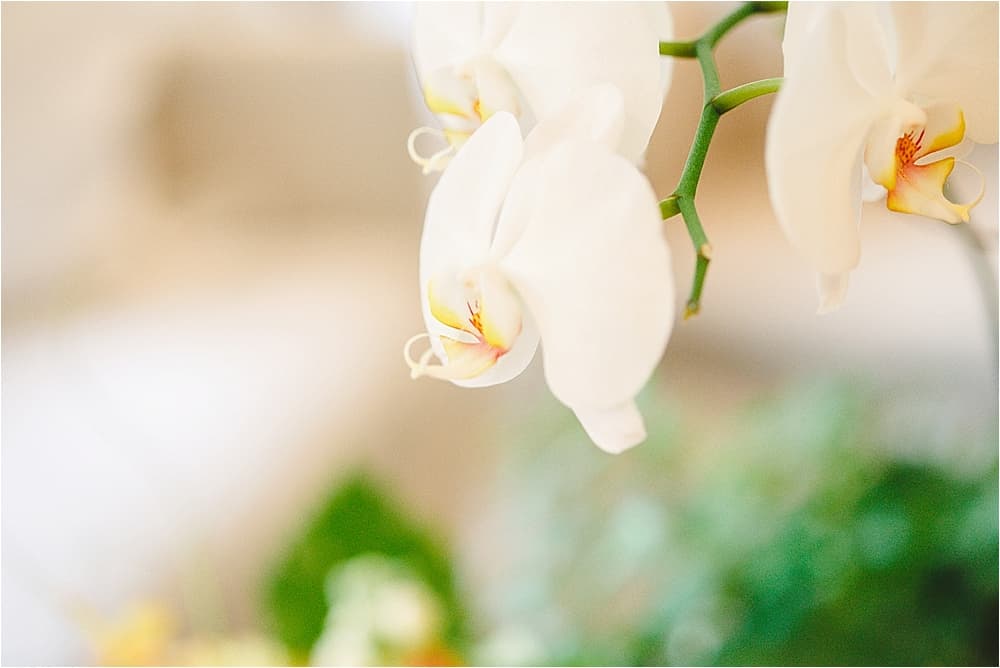 Mae & Sam — Jennie Tewell Photography