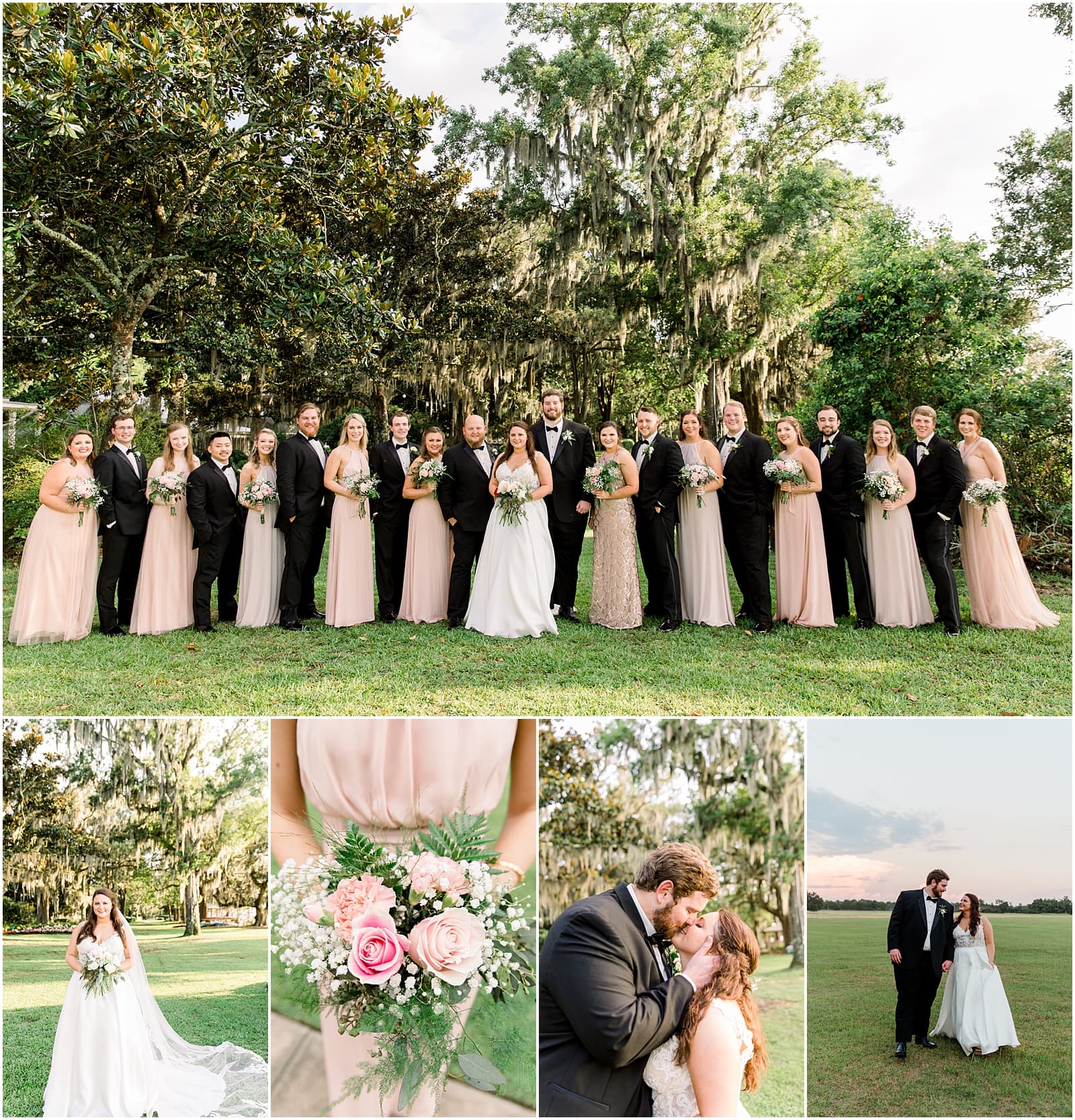 Sophie + Logan — Jennie Tewell Photography