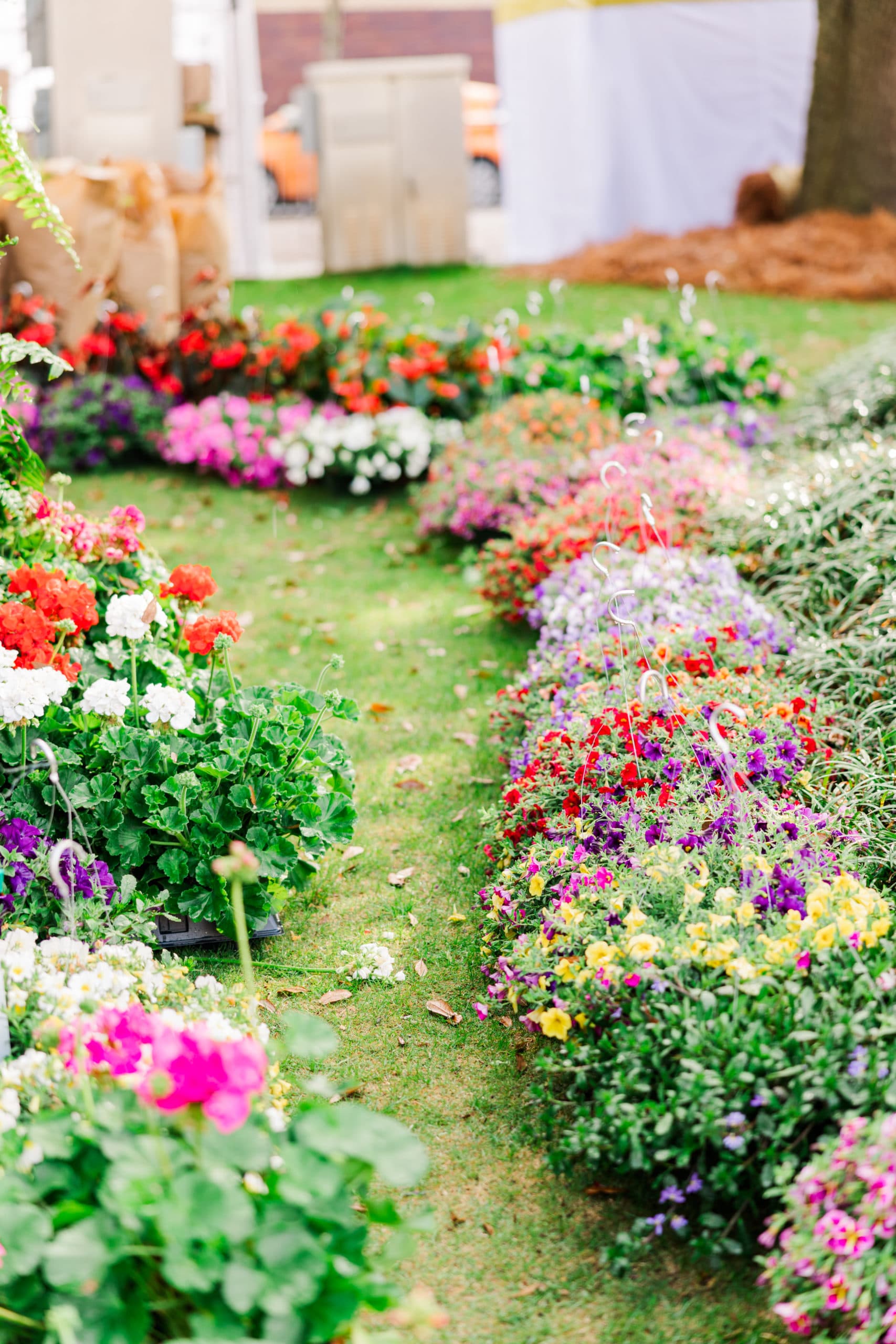 Festival of Flowers - Commercial Photography - Mobile, Alabama — Jennie Tewell Photography