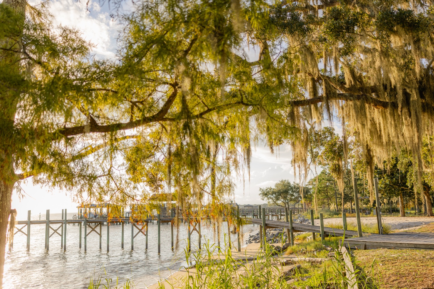 Romantic couple Audrey and Lyon, bathed in soft sunlight, share a loving moment beneath the mossy oak trees at the picturesque Grand Hotel in Fairhope.