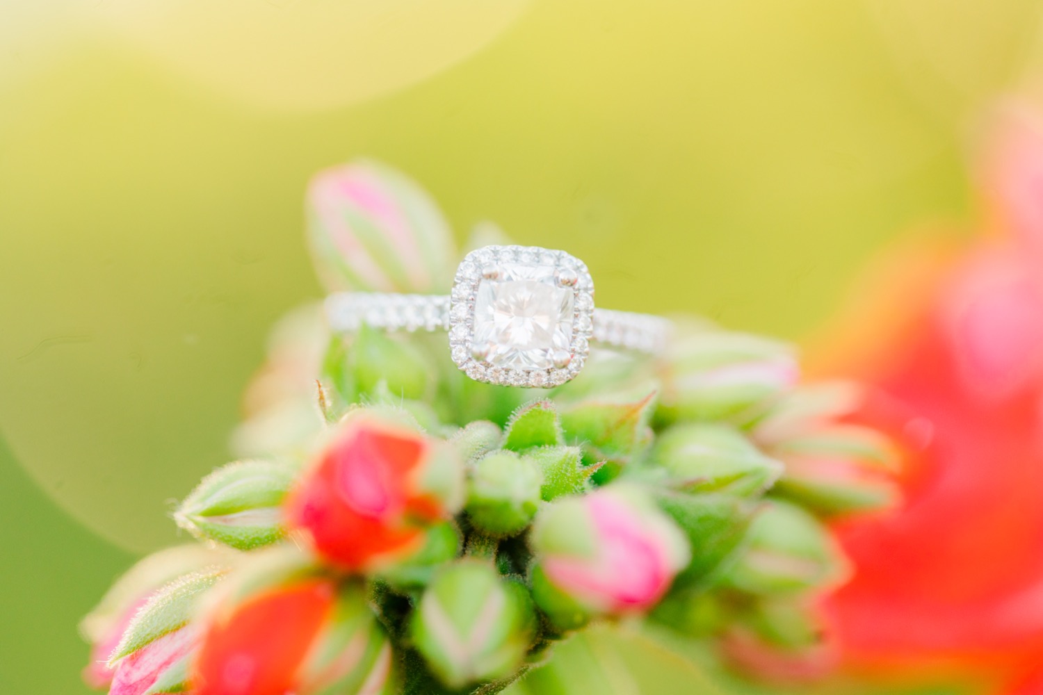 Grand-Hotel-Engagement-Session-in-Point-Clear-Alabama Grand Hotel Engagement Session in Point Clear Alabama