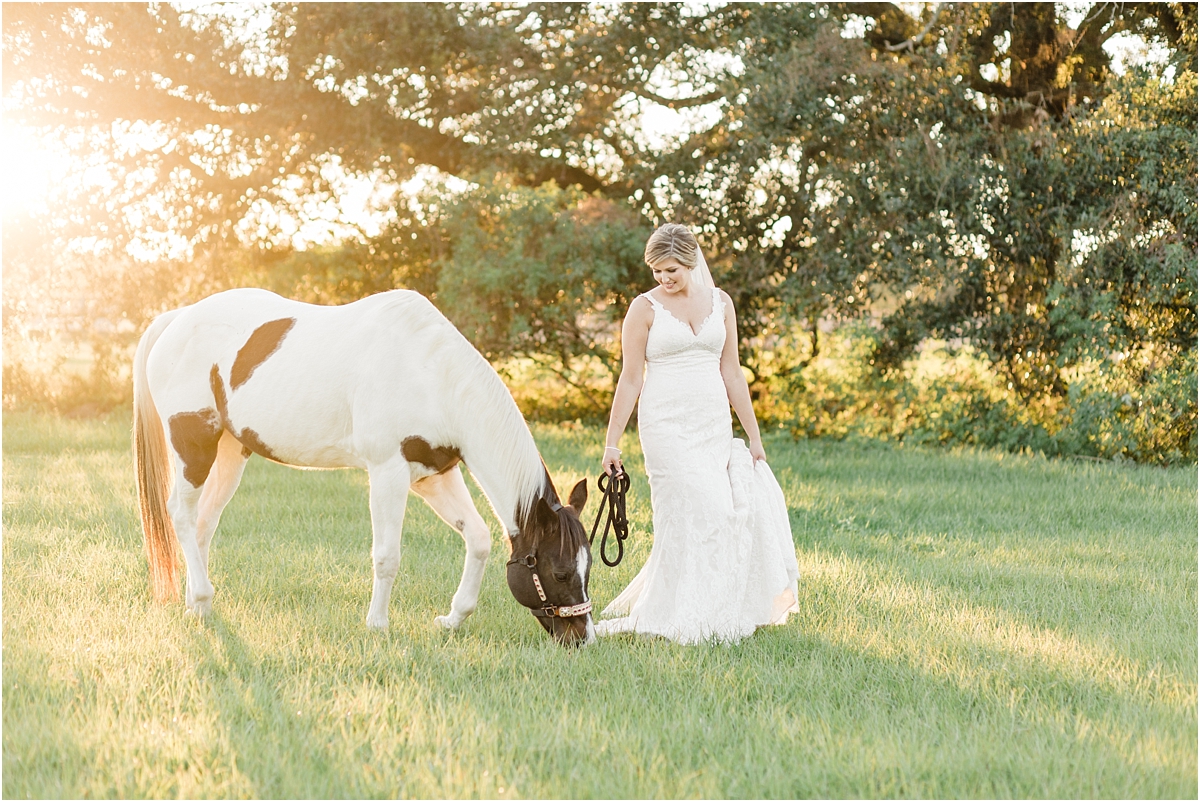 mobile alabama wedding photographer with horses 0014
